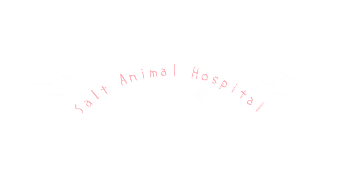 Salt Animal Hospital